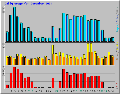 Daily usage for December 2024