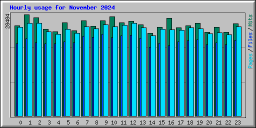 Hourly usage for November 2024