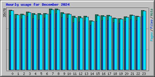 Hourly usage for December 2024