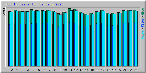 Hourly usage for January 2025