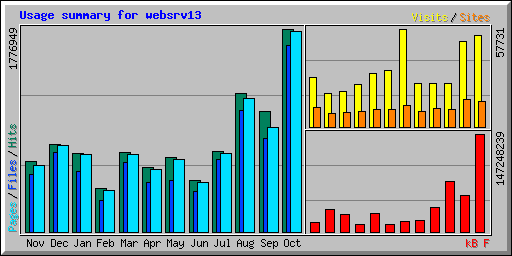 Usage summary for websrv13